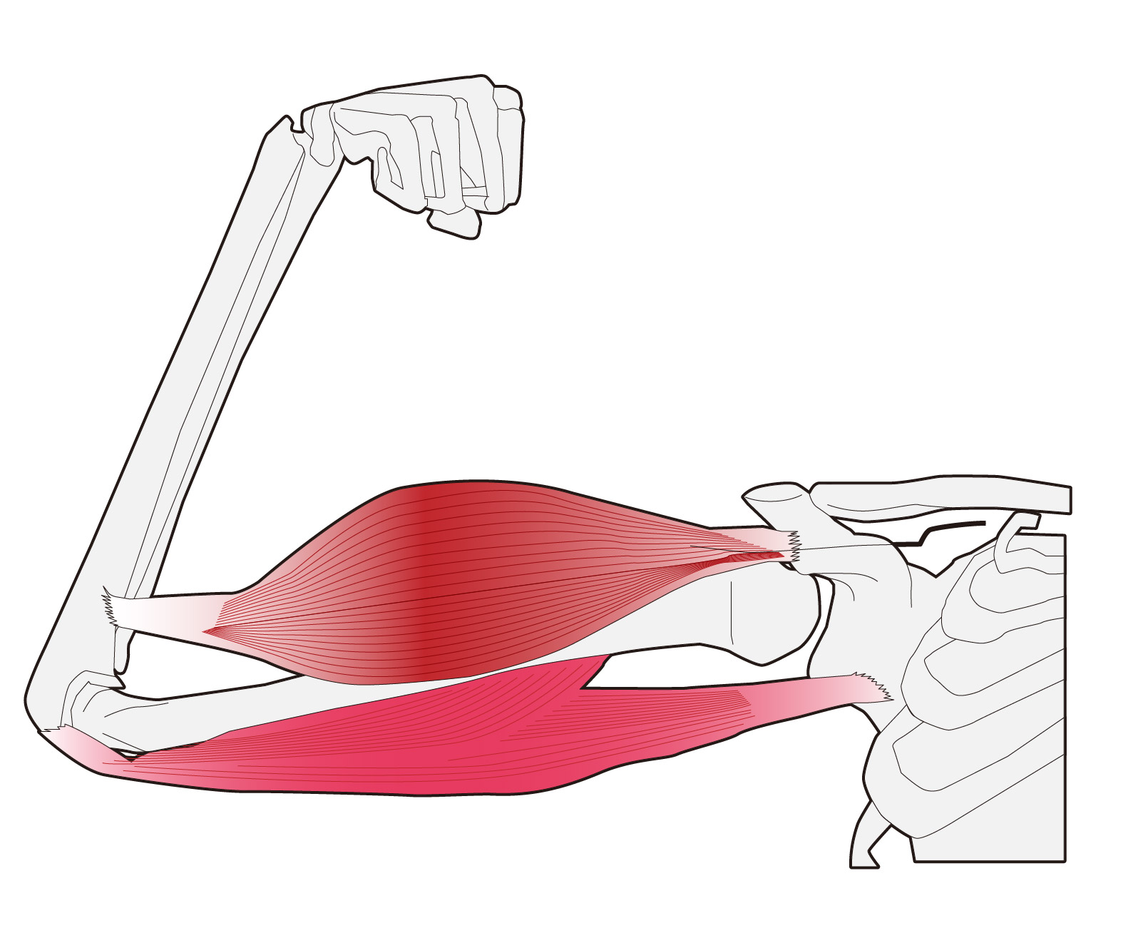 ファーストステージ